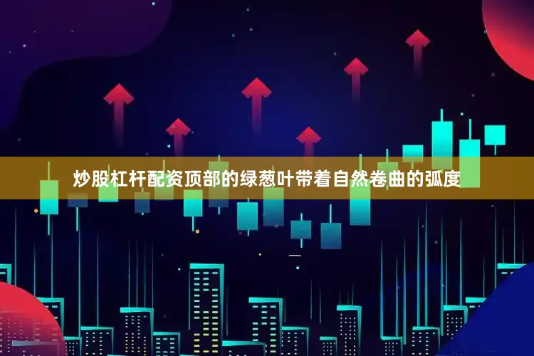 炒股杠杆配资顶部的绿葱叶带着自然卷曲的弧度